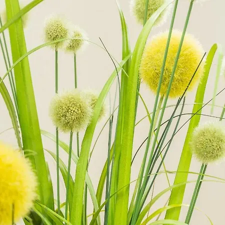 Mery Appartamento Pola